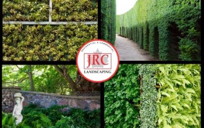 Green Walls: Enhancing Urban Residential Yards in Durham Region and the GTA